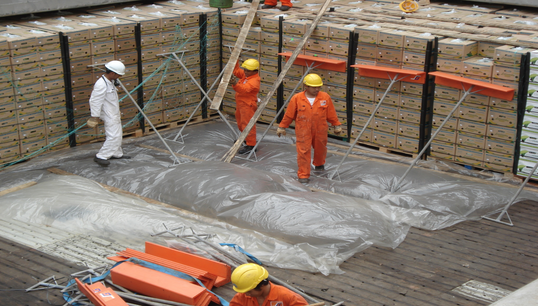 The clause makes it mandatory that these tasks should be performed by trained and qualified dockworkers, not by seafarers. Image:The clause makes it mandatory that these tasks should be performed by trained and qualified dockworkers, not by seafarers.