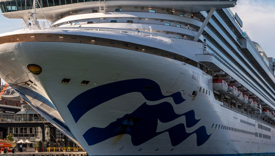 The Ruby Princess (file photo). Image: Wikimedia Commons - overseas passenger terminal Sidney 2019. Image:The Ruby Princess (file photo). Image: Wikimedia Commons - overseas passenger terminal Sidney 2019.